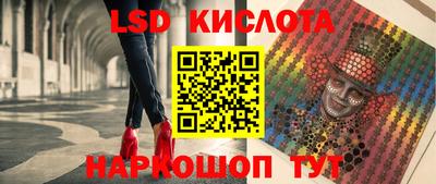 дмт Аргун