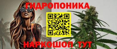 дмт Аргун