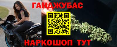 дмт Аргун