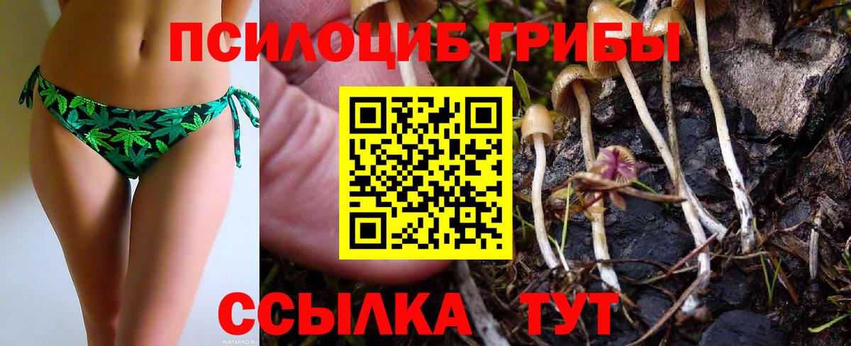 Псилоцибиновые грибы мухоморы Братск