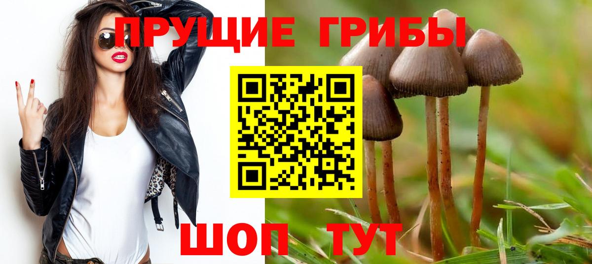 Братск  Галлюциногенные грибы Psilocybe  Вход с VPN  Галлюциногенные грибы ЛСД 